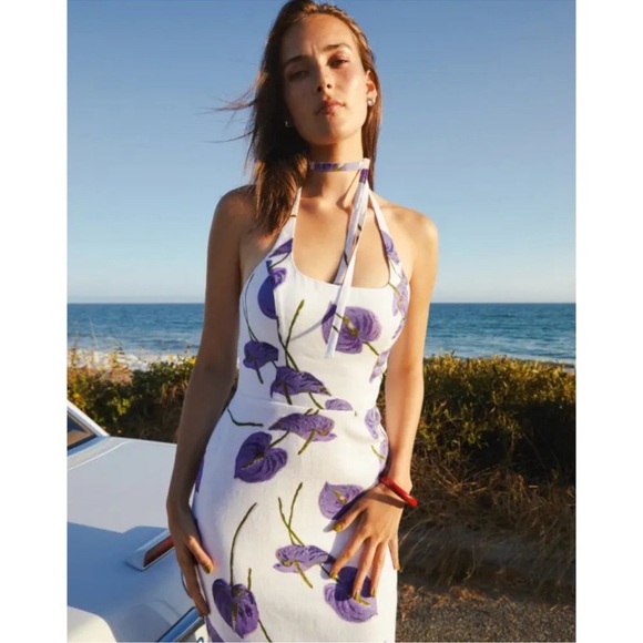 Reformation NWOT Yana linen lined dress in size 6. Never worn. - Picture 2 of 7